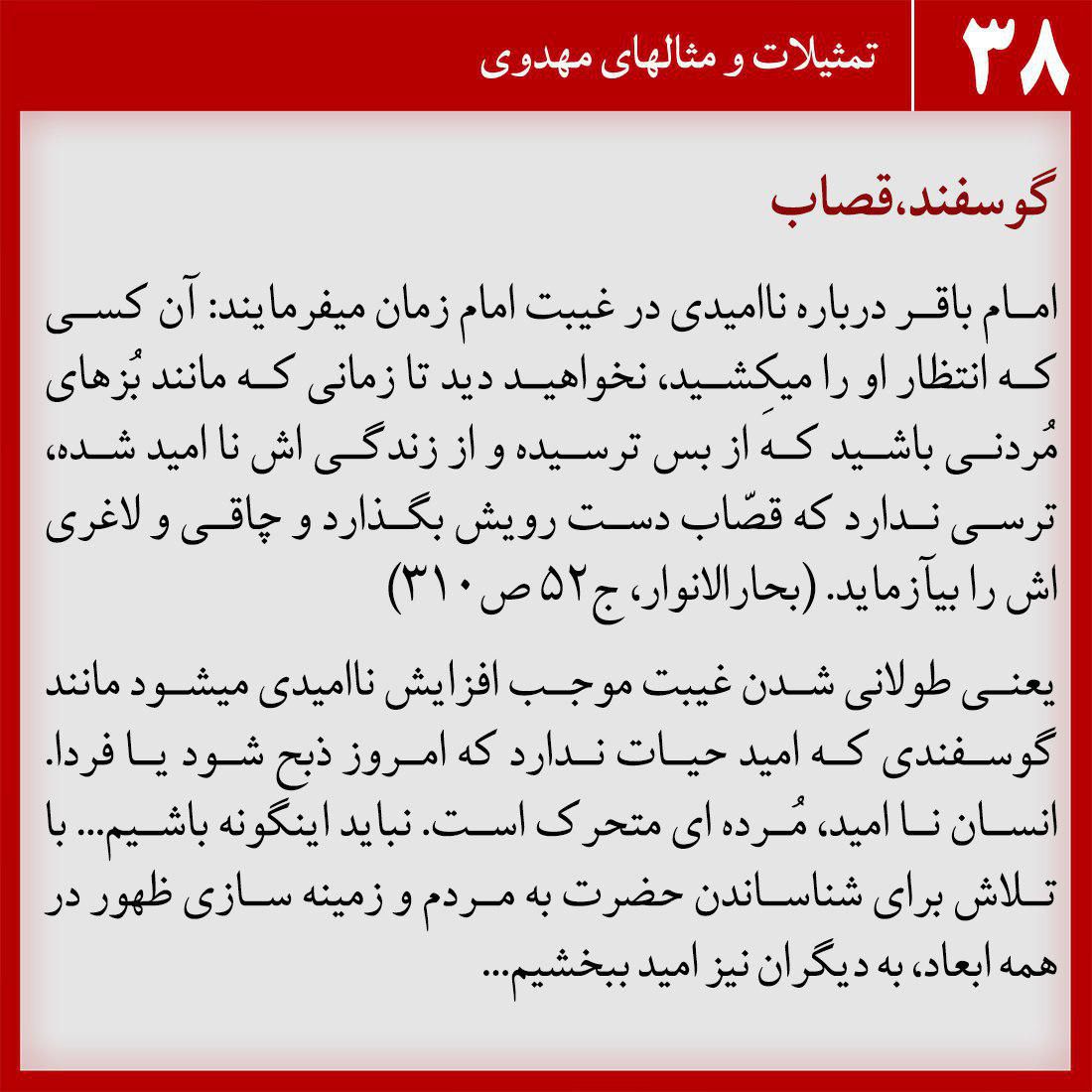گوسفند، قصاب